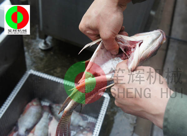 殺魚生產線